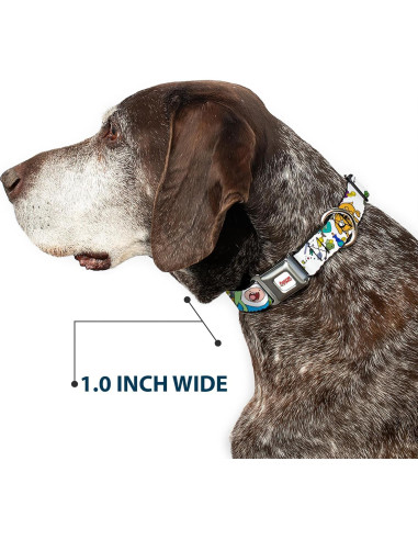 Collar para perro de cinturón de seguridad Buckle-Down 28-42 cm