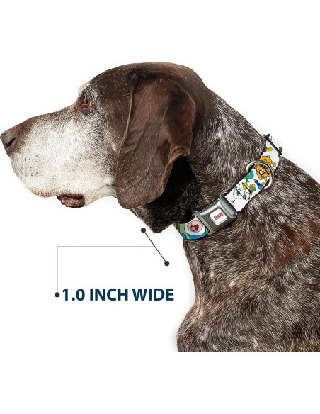 Collar para perro de cinturón de seguridad Buckle-Down 28-42 cm