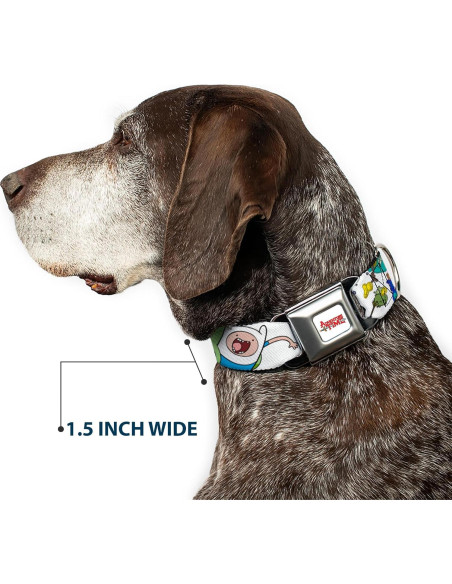 Collar para perro de cinturón de seguridad Buckle-Down 28-42 cm