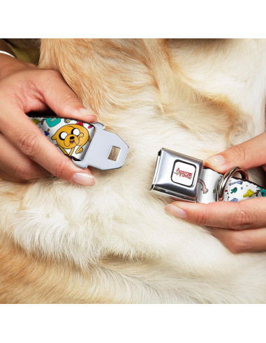 Collar para perro de cinturón de seguridad Buckle-Down 28-42 cm