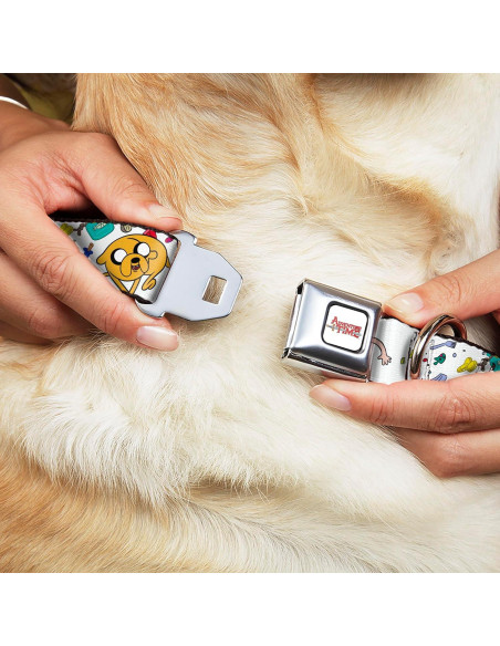 Collar para perro de cinturón de seguridad Buckle-Down 28-42 cm