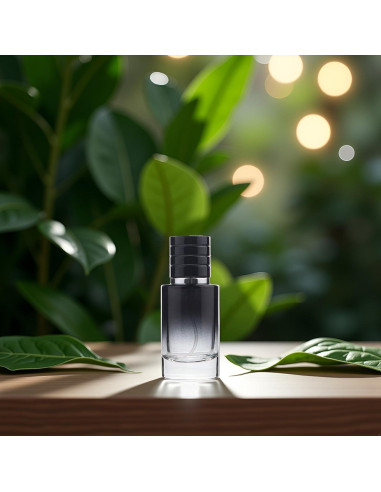 Atomizador de Perfume Fansoftiks 30ml Vidrio Negro Recargable