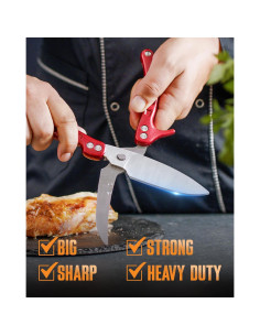 Tijeras de Aves de Corral Demzit 2024 - Acero Inoxidable, Antideslizantes 2