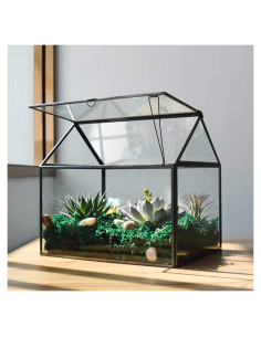 Terrario de Vidrio Grande YIMORENCE 31.1x23.2x27.7cm para Suculentas