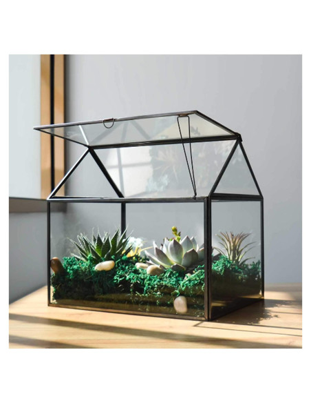 Terrario de Vidrio Grande YIMORENCE 31.1x23.2x27.7cm para Suculentas