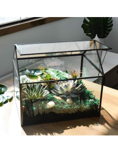 Terrario de Vidrio Grande YIMORENCE 31.1x23.2x27.7cm para Suculentas 2