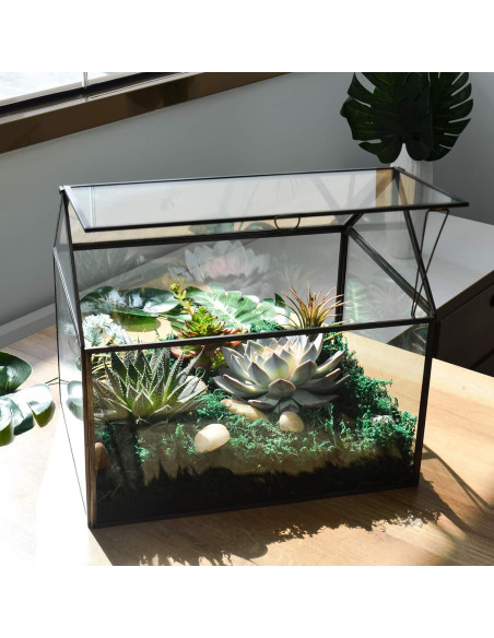 Terrario de Vidrio Grande YIMORENCE 31.1x23.2x27.7cm para Suculentas