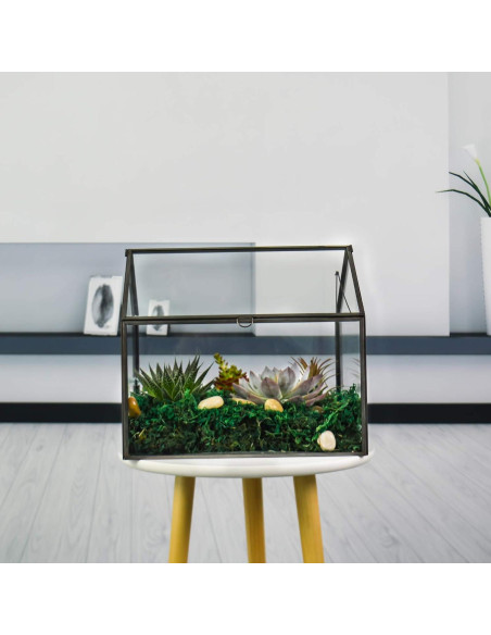Terrario de Vidrio Grande YIMORENCE 31.1x23.2x27.7cm para Suculentas