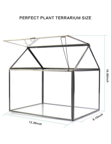 Terrario de Vidrio Grande YIMORENCE 31.1x23.2x27.7cm para Suculentas