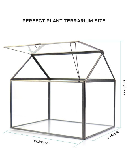 Terrario de Vidrio Grande YIMORENCE 31.1x23.2x27.7cm para Suculentas