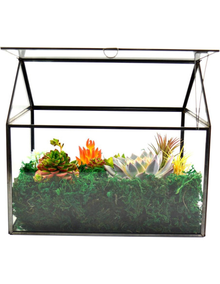 Terrario de Vidrio Grande YIMORENCE 31.1x23.2x27.7cm para Suculentas