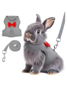 Arnés y Correa para Conejos Larrel Ajustable Transpirable M
