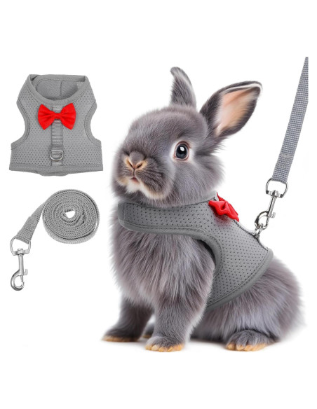 Arnés y Correa para Conejos Larrel Ajustable Transpirable M