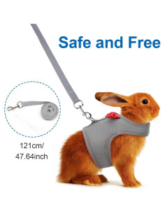 Arnés y Correa para Conejos Larrel Ajustable Transpirable M 2