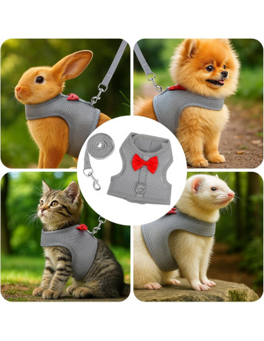 Arnés y Correa para Conejos Larrel Ajustable Transpirable M