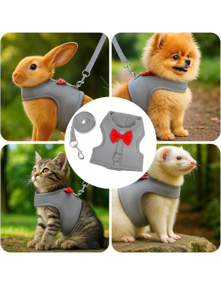 Arnés y Correa para Conejos Larrel Ajustable Transpirable M