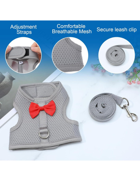 Arnés y Correa para Conejos Larrel Ajustable Transpirable M