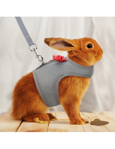 Arnés y Correa para Conejos Larrel Ajustable Transpirable M