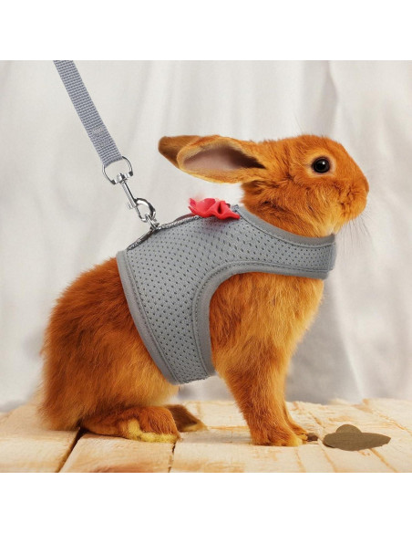 Arnés y Correa para Conejos Larrel Ajustable Transpirable M