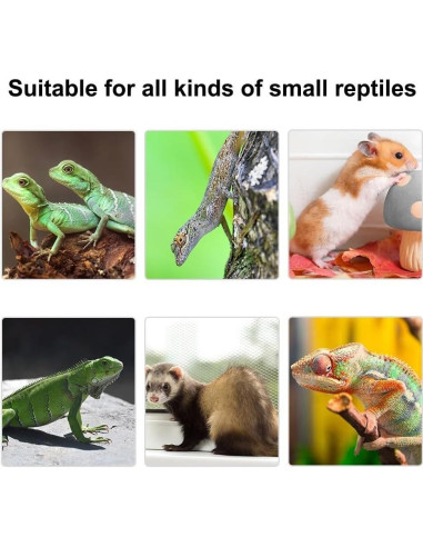 Transportín Ajustable para Reptiles MiOYOOW 40.6x17.8cm