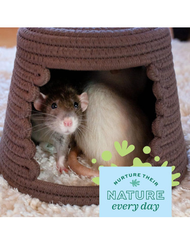 Refugio Cozy Cave Oxbow Grande para Conejos y Cobayas