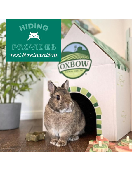 Refugio Cozy Cave Oxbow Grande para Conejos y Cobayas