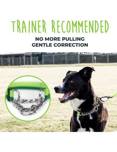 Collar Martingale para Perros Mighty Paw 2.0 Grande Verde