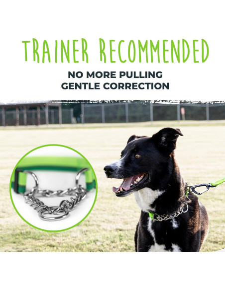 Collar Martingale para Perros Mighty Paw 2.0 Grande Verde