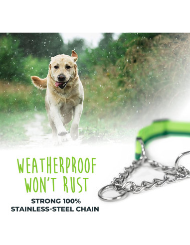 Collar Martingale para Perros Mighty Paw 2.0 Grande Verde