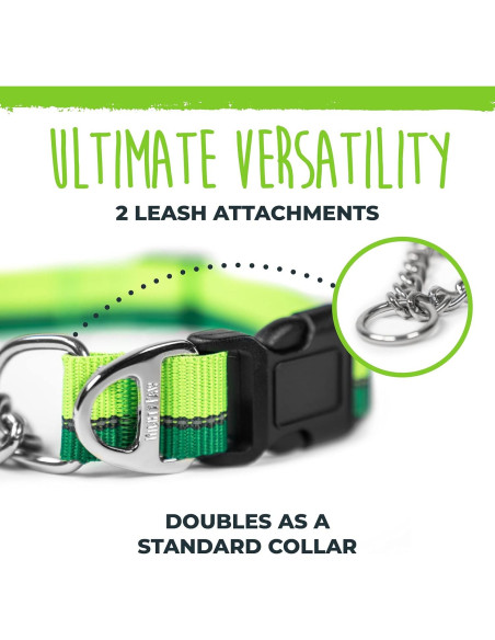 Collar Martingale para Perros Mighty Paw 2.0 Grande Verde
