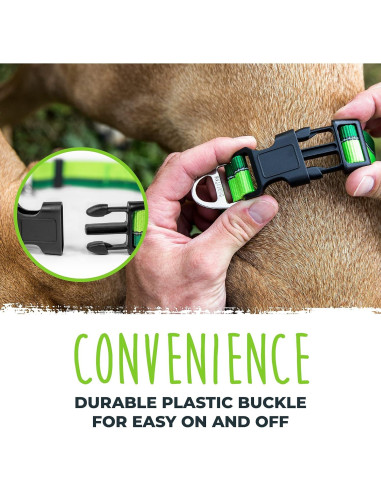 Collar Martingale para Perros Mighty Paw 2.0 Grande Verde