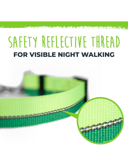 Collar Martingale para Perros Mighty Paw 2.0 Grande Verde