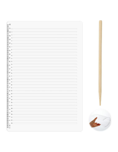 Plantilla de Línea Recta de Plástico 29.5 cm para Escritura