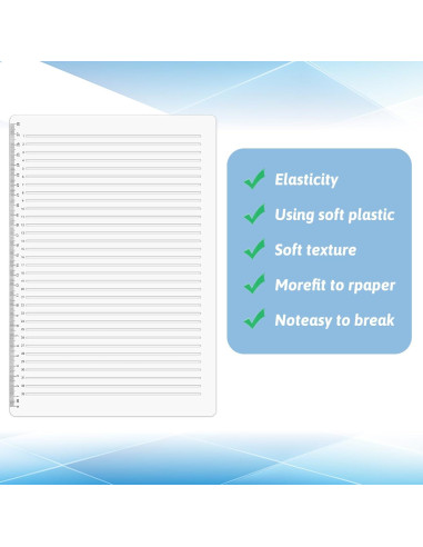 Plantilla de Línea Recta de Plástico 29.5 cm para Escritura