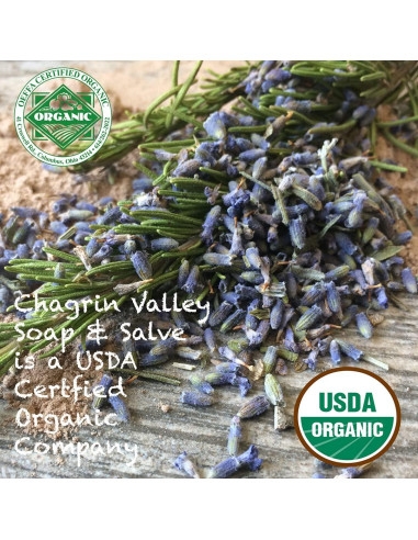 Champú en Barra Orgánico Chagrin Valley 159g Coco Sin Fragancia