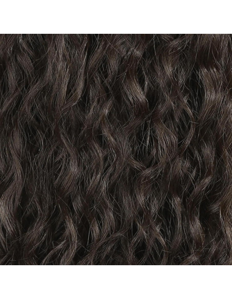 Extensión de Cola de Caballo Rizada SEIKEA 66 cm Clip Garra Negro Marrón