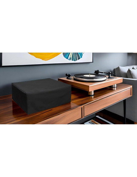 Cubierta de Polvo para Tocadiscos RuiHiSong 45.7x38.1cm Negra