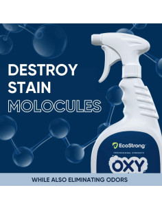 Limpiador de Alfombras para Mascotas 946 ml - Acción Rápida 2