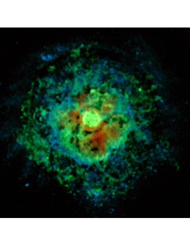 Pintura Acrílica Brillante ProFX Naranja Luminoso 120 ml