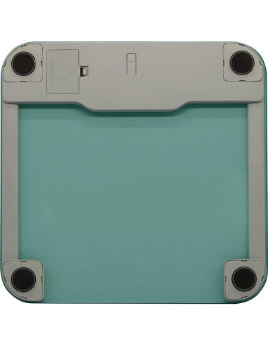 Báscula Digital de Vidrio Taylor 5274460 500 kg Verde Espuma