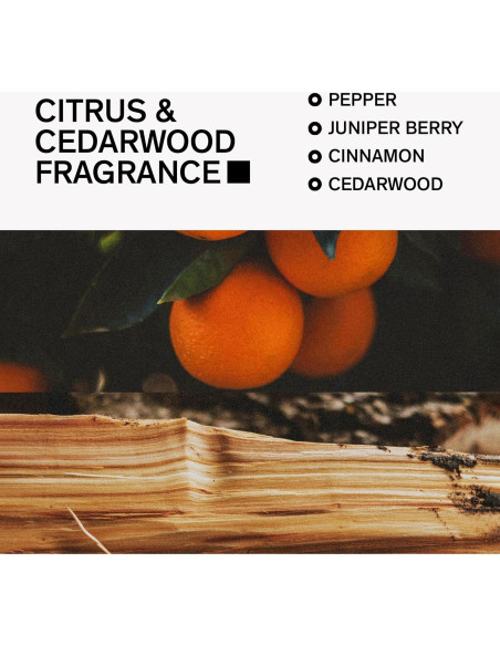 Desodorante Natural Bravo Sierra 90.7g - Sin Aluminio, Cítricos y Madera de Cedro