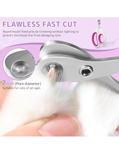 Cepillo de Vapor 4 en 1 Petayouj para Gatos y Perros - Naranja