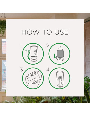 Recarga Spray Ambientador Automático Air Wick 2ct Manzana Canela