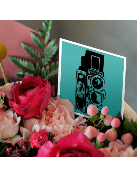 Tarjetas de Felicitación 3dRose - Cámara Vintage TLR - Paquete 6