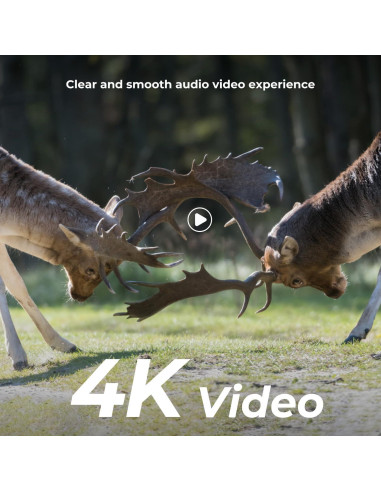 Cámara de Sendero K&F Concept 4K 48MP con Visión Nocturna