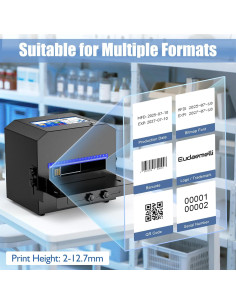 Impresora de Inyección de Tinta Eudaemelli P6 42ml Táctil 7" 2