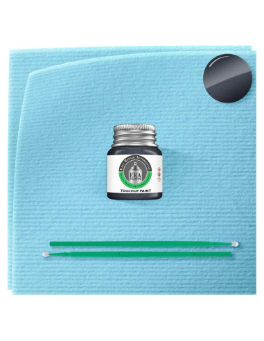 Pintura Automotriz ERA 8V1 Gris Invierno Metálico 7.4ml