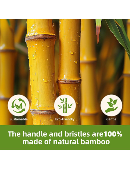 Cepillo de Paleta de Bambú Natural MRD para Desenredar 23.7x8cm