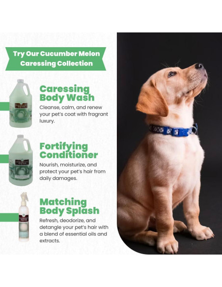 Acondicionador Fortificante para Mascotas Mejor Opción 3.78L Melón Pepino