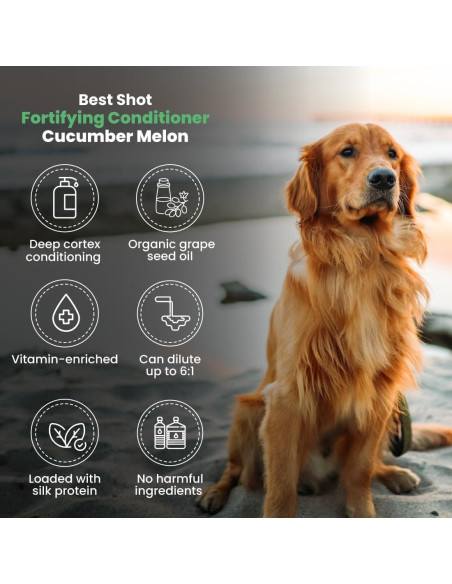 Acondicionador Fortificante para Mascotas Mejor Opción 3.78L Melón Pepino